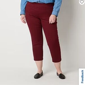 St Johns Burgundy Pull-On Ankle Pants (EUC)